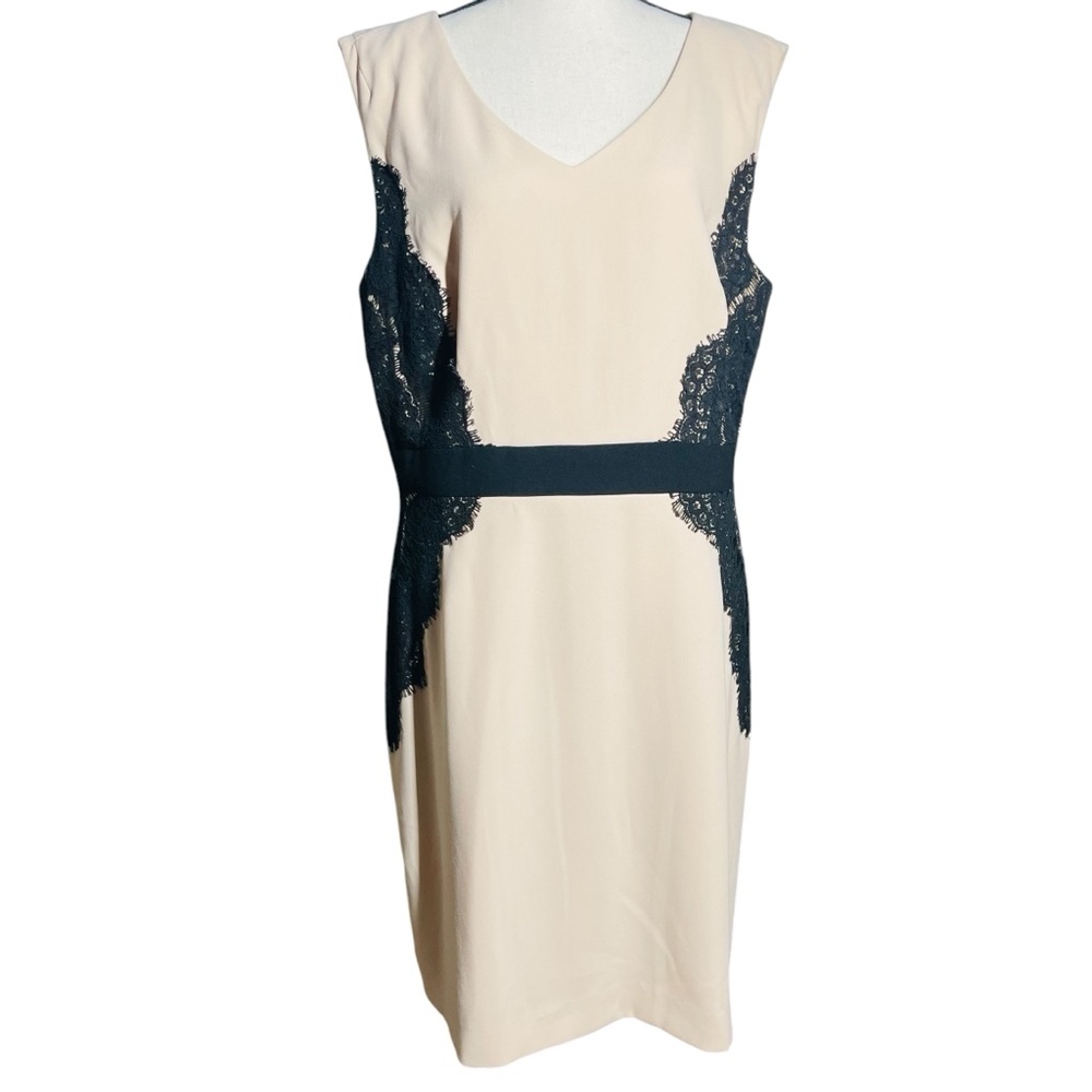 Tahari Elegant Cream and Black Lace Dress